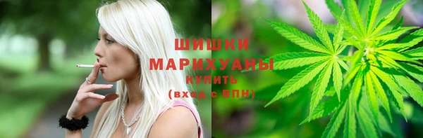 ПСИЛОЦИБИНОВЫЕ ГРИБЫ Наволоки