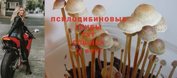 мдпв Нефтекумск