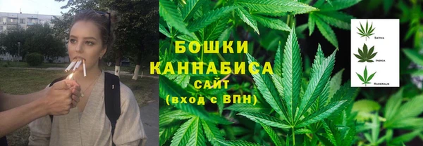 ПСИЛОЦИБИНОВЫЕ ГРИБЫ Наволоки