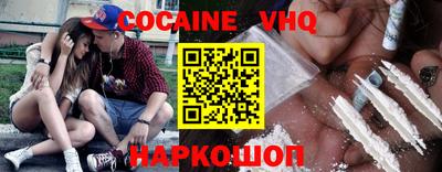 крисы Кингисепп