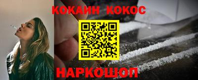 крисы Кингисепп