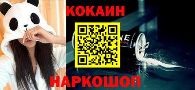крисы Кингисепп