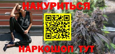 крисы Кингисепп