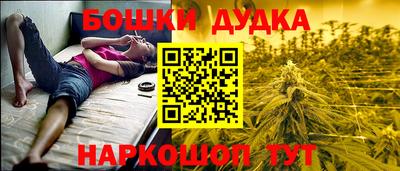 крисы Кингисепп