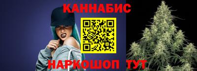 крисы Кингисепп