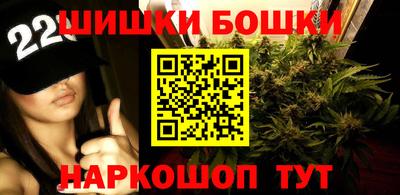 крисы Кингисепп