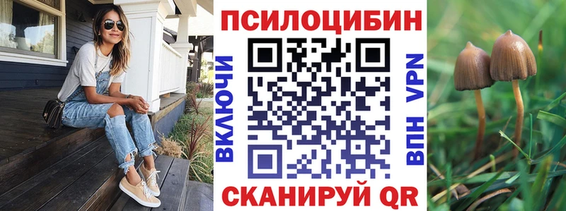 blacksprut ONION  Мурино  Галлюциногенные грибы Cubensis 