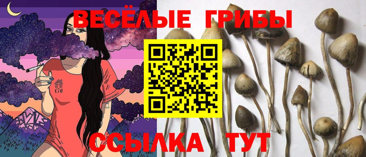 Галлюциногенные грибы мухоморы Мурино