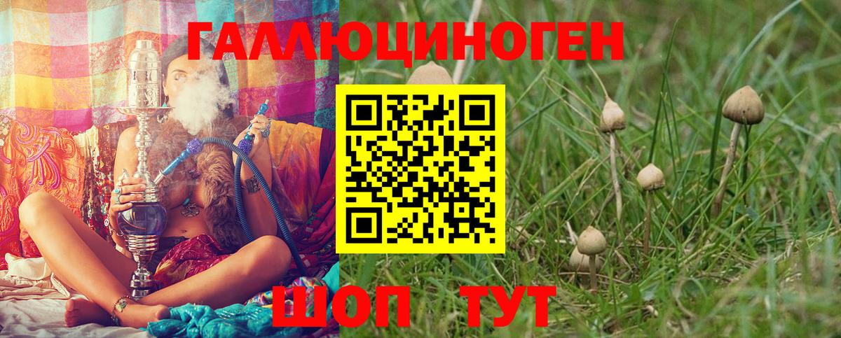 Мурино  Псилоцибиновые грибы MAGIC MUSHROOMS  где найти   Вход с VPN 